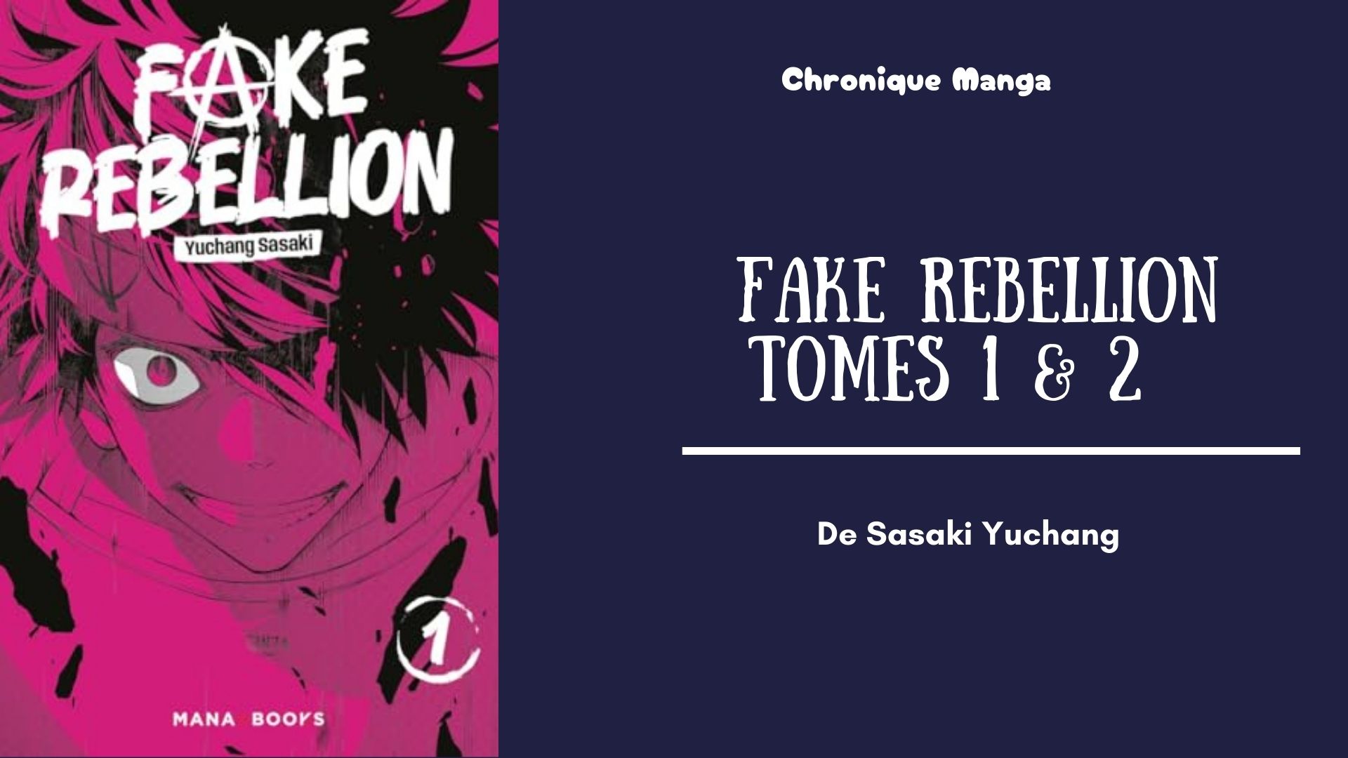 Fake Rebellion - mise en avant