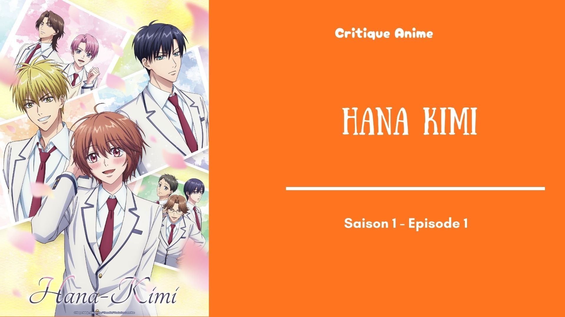 Hana Kimi