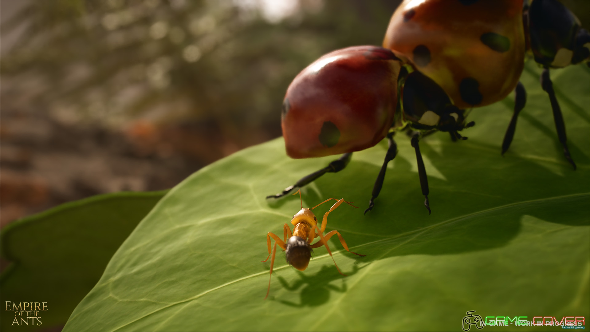 Les Fourmis