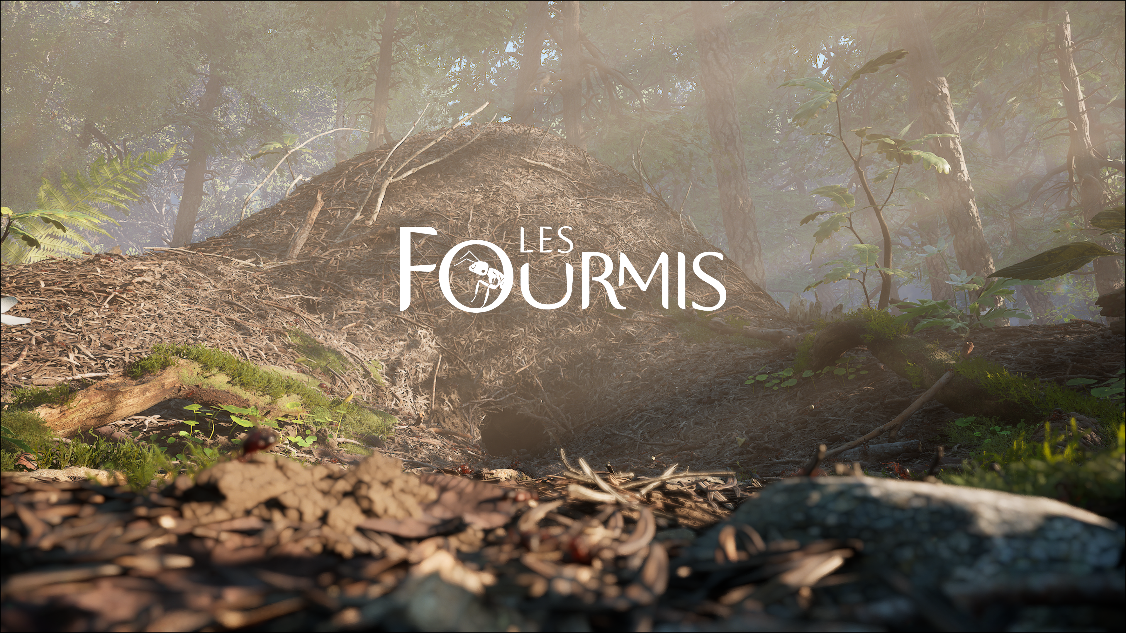 Les Fourmis Test