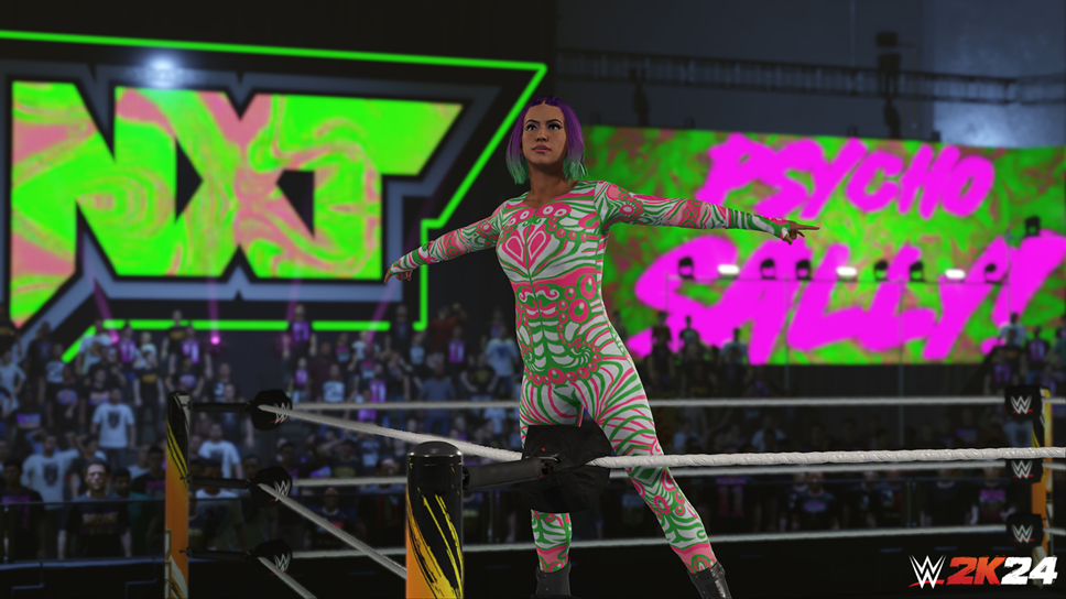 WWE 2k24